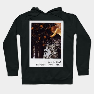 botticelli - cupid Hoodie